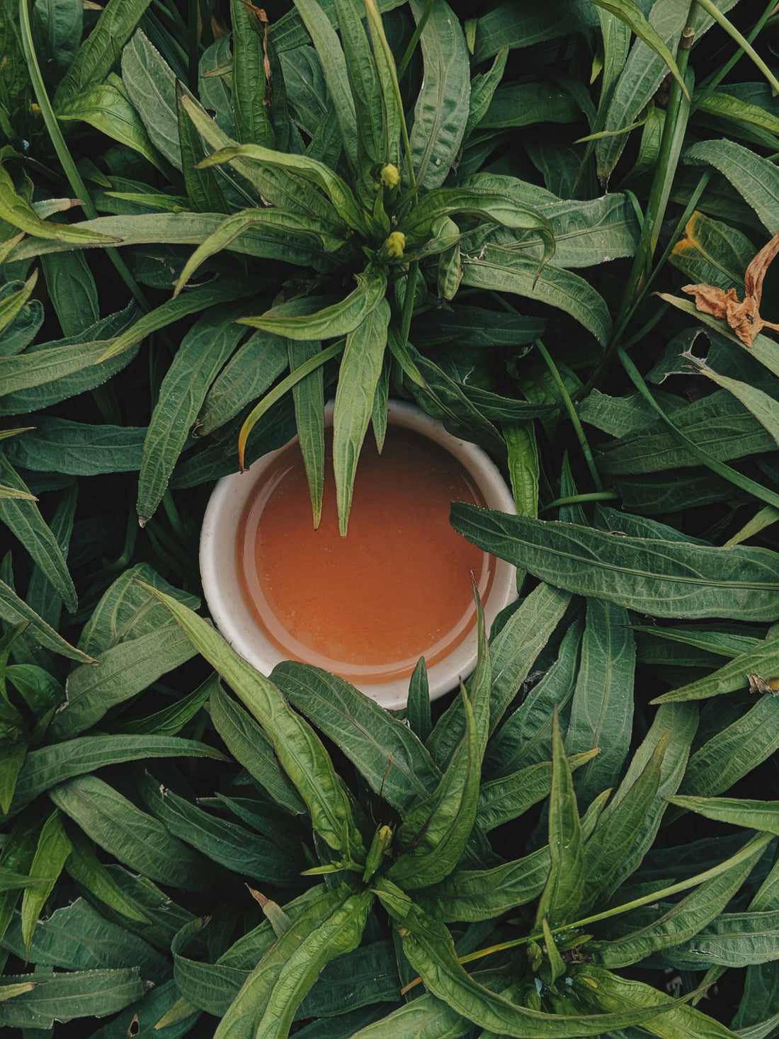 What a Cold Cup of Tea Taught Me About Completion